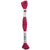 Fuchsia - 061