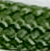 Moss #331