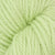 Limelight