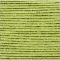 Ricorumi DK (25g) - Pistazie - 047