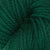 Spinach Leaf
