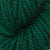 Spinach Leaf