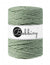 Eucalyptus Green