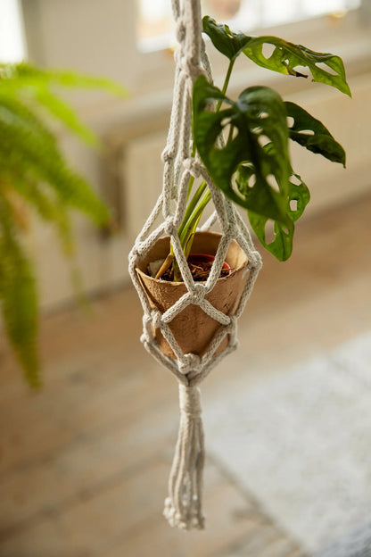Makramee-Set Plant Hanger - 3 hanger - Mindful Making - DMC