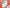 Samplecard Tufting Cloths - - Tuftinglove
